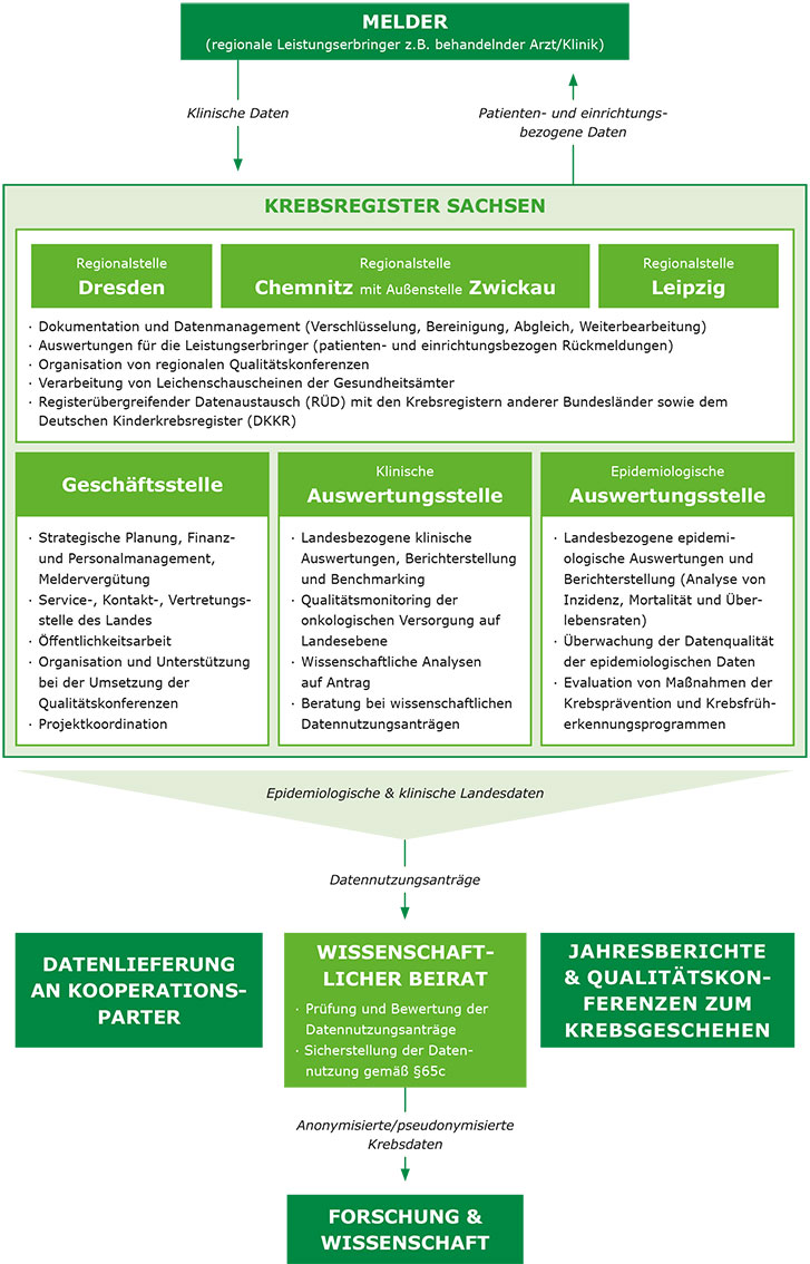 Die Grafik veranschaulicht den Datenfluss und die Struktur der Krebsregistrierung in Sachsen. Die drei Regionalstellen des Krebsregisters Sachsen gGmbH in Chemnitz mit Außenstelle Zwickau, Dresden und Leipzig erhalten klinische Daten von den Meldern. Zu den zentralen Aufgaben des Registers zählen die Dokumentation und das Datenmanagement, einschließlich der Verschlüsselung, Bereinigung, des Abgleichs und der Weiterverarbeitung der Daten. Darüber hinaus führt das Register Auswertungen für die Leistungserbringer durch, indem patienten- und einrichtungsbezogene Rückmeldungen bereitgestellt werden. Es organisiert regionale Qualitätskonferenzen, verarbeitet Leichenschauscheine der Gesundheitsämter und beteiligt sich am registerübergreifenden Datenaustausch (RÜD) mit den Krebsregistern der anderen Bundesländer sowie dem Deutschen Kinderkrebsregister (DKKR). Die Geschäftsstelle ist verantwortlich für die strategische Planung, das Finanz- und Personalmanagement sowie die Vergütung der Melder. Sie fungiert als Service-, Kontakt- und Vertretungsstelle des Landes und übernimmt die Öffentlichkeitsarbeit. Weiterhin organisiert sie die Landesqualitätskonferenz, unterstützt bei der Organisation der regionalen Qualitätskonferenzen und koordiniert Projekte auf lokaler, regionaler und bundesweiter Ebene. Die Auswertungsstelle führt landesweite Auswertungen durch, erstellt Berichte und führt beteiligt sich am Benchmarking sowie Qualitätsmonitoring der onkologischen Versorgung auf Landesebene durch. Sie ist auch für wissenschaftliche Analysen auf Antrag sowie die Beratung bei Anträgen zur wissenschaftlichen Datennutzung zuständig. Der wissenschaftliche Beirat stellt sicher, dass die Datennutzung gemäß § (Leerzeichen) 65c erfolgt. Er prüft und bewertet Datennutzungsanträge aus Forschung und Wissenschaft. Darüber hinaus übermittelt das Krebsregister Sachsen im Jahresberichte mit klinischen Landesdaten werden an den Spitzenverband Bund der Krankenkassen übermittelt. Zudem erhält das Zentrum für Krebsregisterdaten die relevanten klinischen und epidemiologischen Landesdaten.